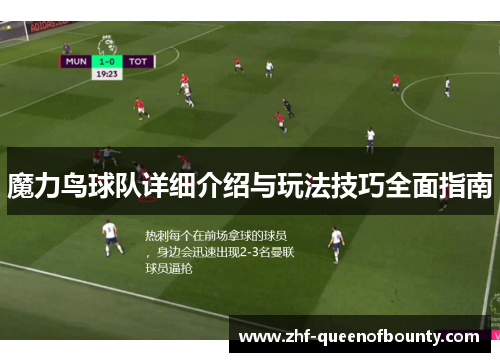魔力鸟球队详细介绍与玩法技巧全面指南 魔力鸟球队详细介绍与玩法技巧全面指南